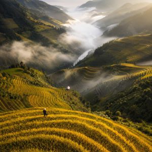 Ruộng bậc thang Mù Cang Chải